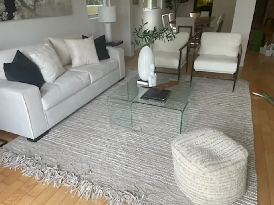 living_room_cleaning-7242