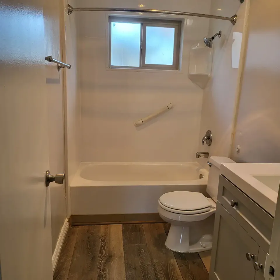 bathroom_cleaning-114609