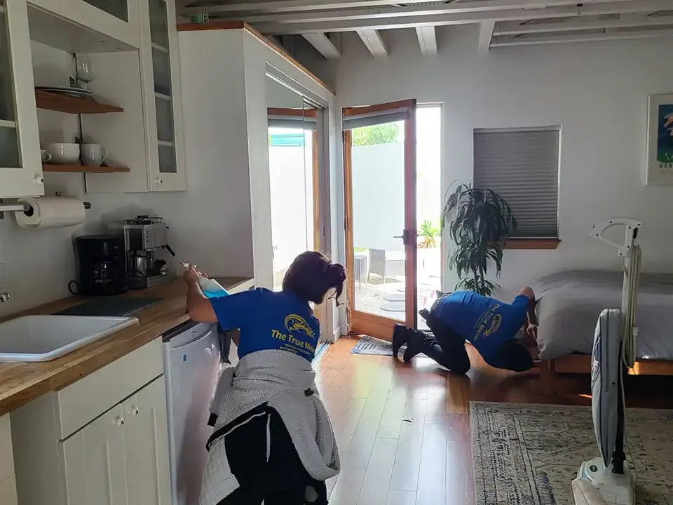 Deep Cleaning