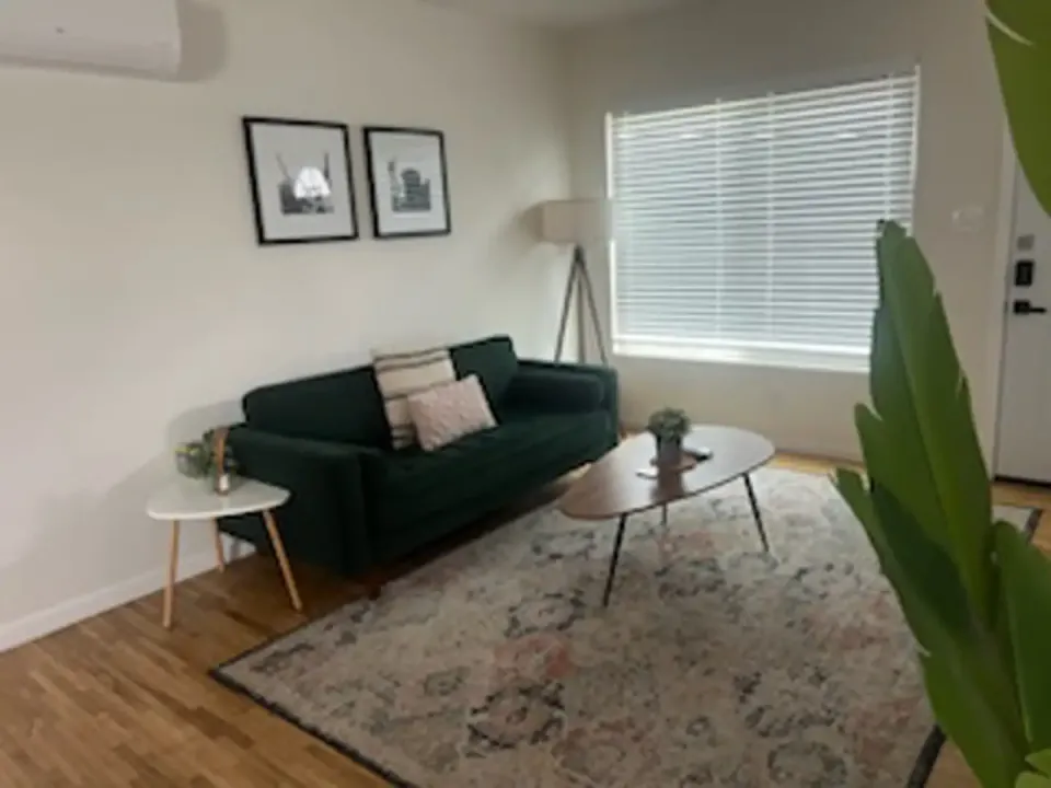 living_room_cleaning-8275